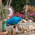 Anastasia's House