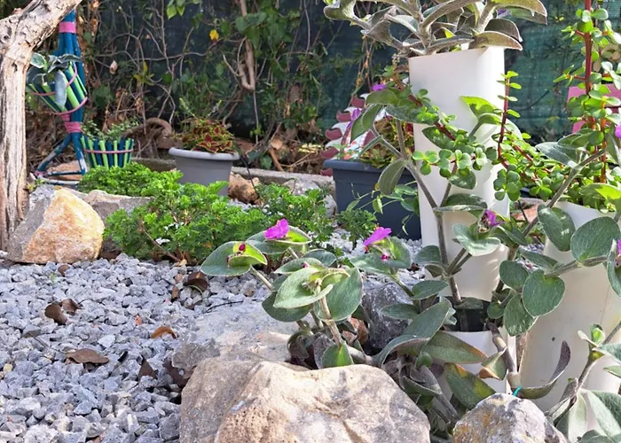 Anastasia's House Апартаменты *