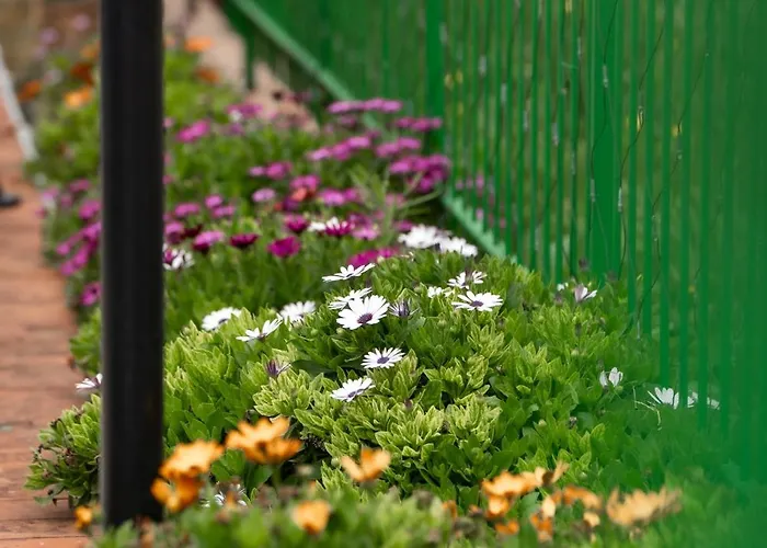 Апартаменты Anastasia's House